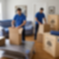 packaging household Goods.png
