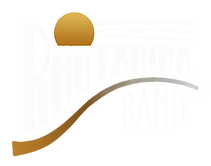Logo for Pino Farina Band