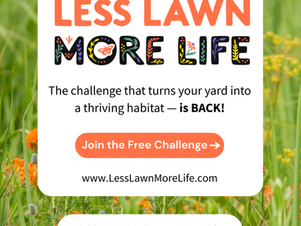 Have You Heard About Less Lawn More Life?