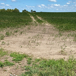 Soil Compaction.jpeg