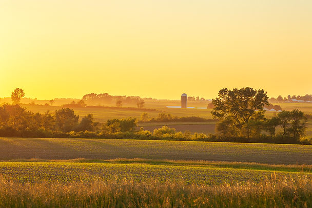 Farm and fields.jpg