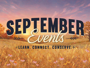 Upcoming September 2026 Events