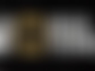 SRBIJA PRIMLJENA U WORLD BOXING: Počinje operacija Los Anđeles 2028.