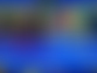 U NIŠU ODRŽANA “ČELIČNA PESNICA – DRAGIŠA STANKOVIĆ ČELIK”: Najbolji učesnici memorijala Melinda Utaši i Hristofer Dimitrov