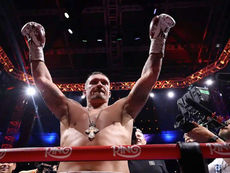 ŠAMPIONOVO PRAVO DA BIRA: Aleksandar Usik, vlasnik tri, od četiri najvažnije svetske titule u teškoj kategoriji, ove godine je samo jednom bio u ringu