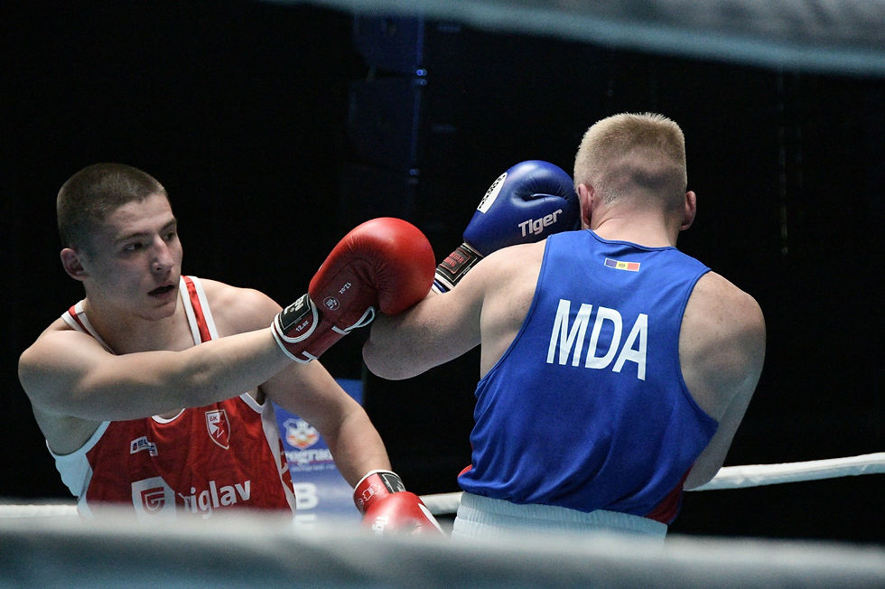 Budućnost Crvene zvezde, Dimitrije Andrejević