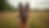 Eye-level view of a DDR German Shepherd standing alert in a grassy field
