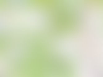 Koirakankaan ja Hirvivaara-Murtiovaaran tuulivoimahankkeiden yvat esiteltiin  