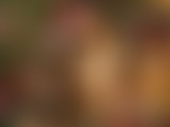 Tekoälystä innostuttiin ja oivallettiin sen monikäyttöisyys