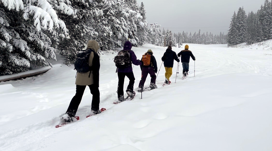 Get Outside this Winter on Mt. Hood National Forest! - Vimarsana News