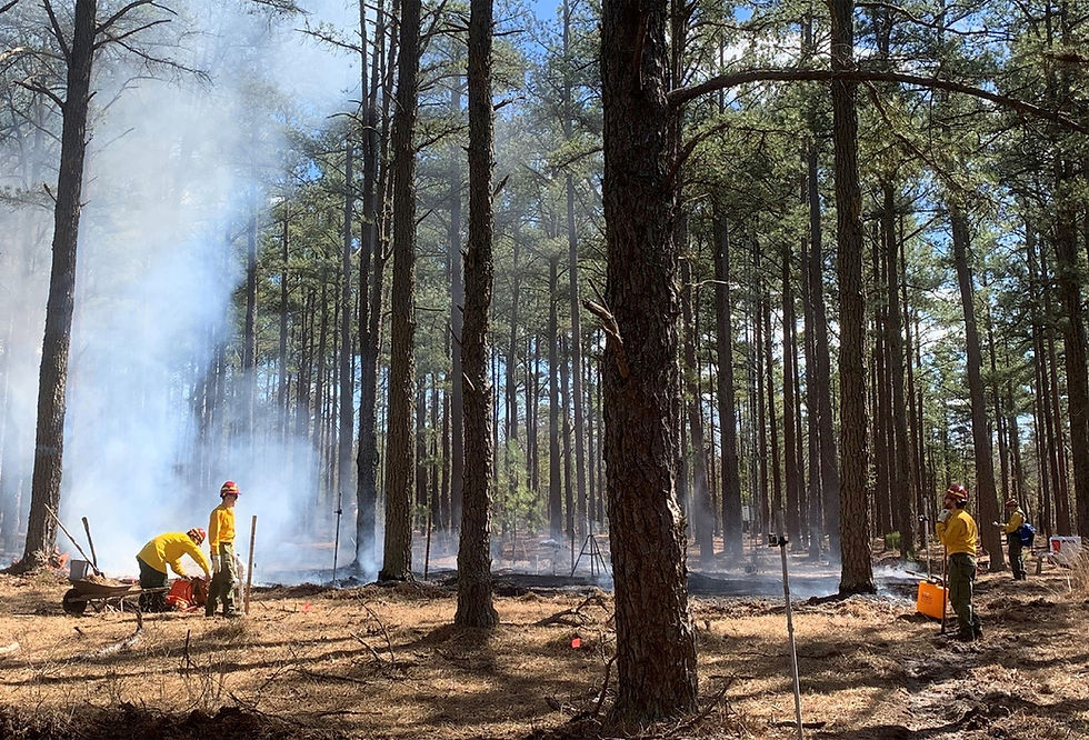 Forest Research Advances and Declines