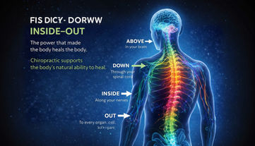 Above-Down, Inside-Out: The Science, Art, and Philosophy of Chiropractic