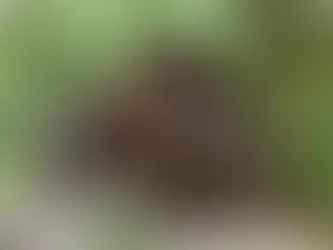 Seeking Memories and Photos for St. John in the Woods’ 100th Anniversary