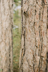 WWF-Wanderung-Highlights-by-Theresa-Pewal-18.jpg
