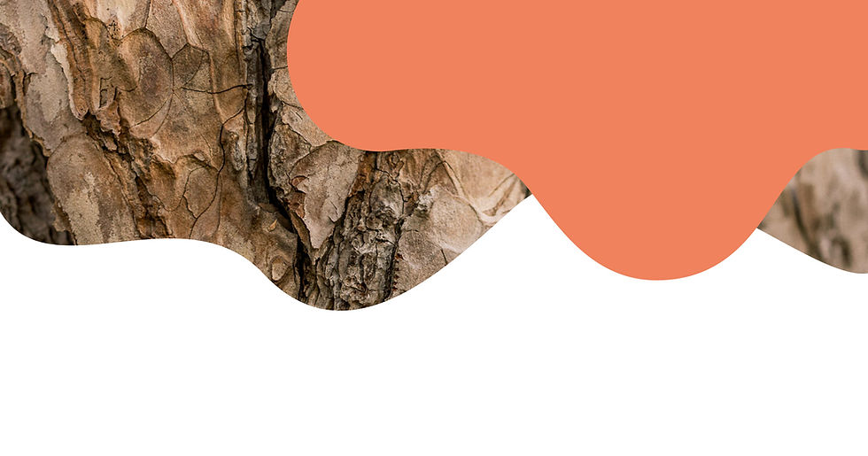 03_philosophie_header_desktop.jpg
