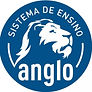 800x600-20180801213450-logo anglo.jpg