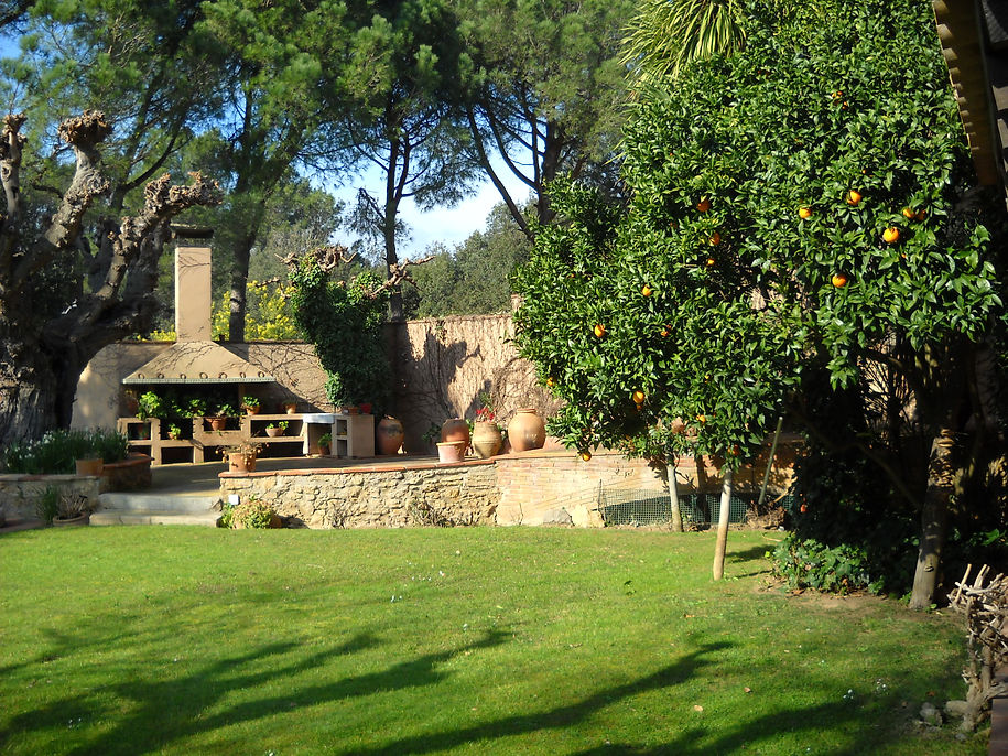 DSCN7471.JPG