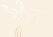 brandguide_Ingrid_Woodward_Idea01-03a.pdf (A4 (Landscape)) (2).png