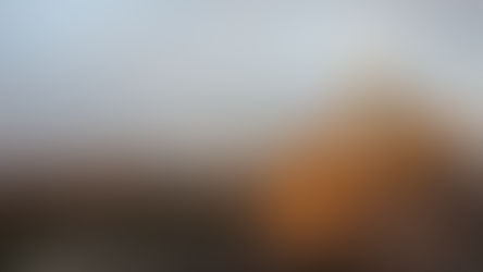 7 Ways to See Melbourne