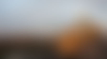 7 Ways to See Melbourne