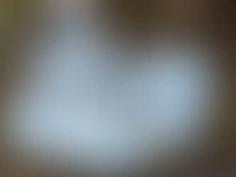 ボランティア募集したら!