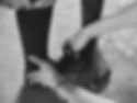 fullsizeoutput_6c1.jpeg