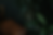 BG.png