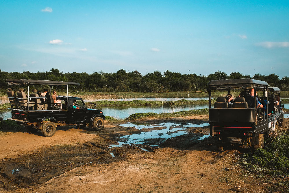 Yala National Park Jeep safari