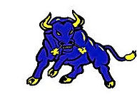 HH Bulls.jpeg