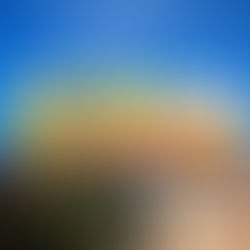 We’ve teamed up with Ben & Jerry's in LA to Challenge Police Department and Prison Budgets