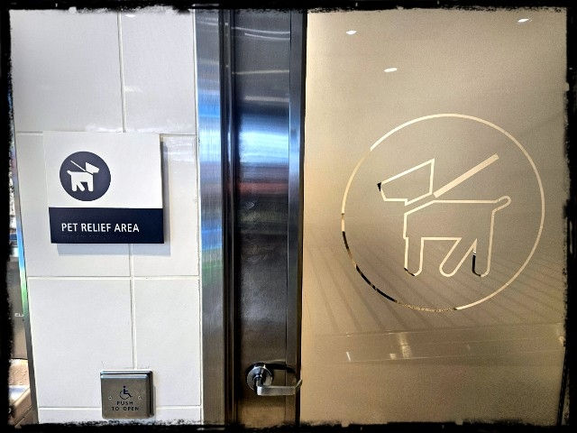 Doggy Restroom in Seattle