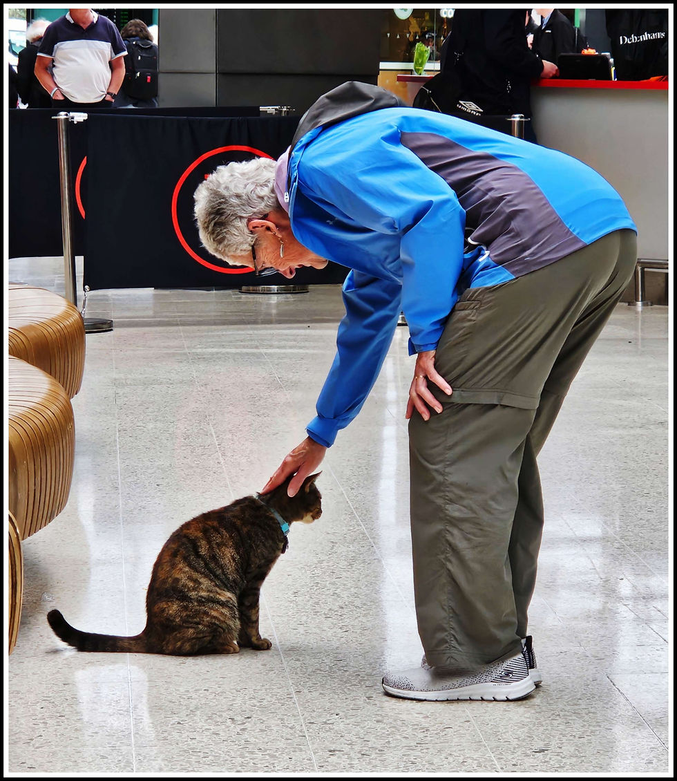 CK makes friends with the Station Cat