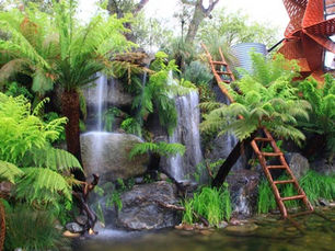 Award winning Chelsea Gardens at Olinda Victoria where Fernmania supplied numerous large Dicksonia antarctica specimens