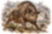 Crommyonian Sow | Greek Mythology & Ancient History Database ||Greek|Creature/Monster/Animal