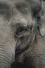 Embodied graphic.jpg