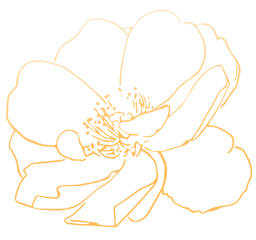 flor rhaiza.png
