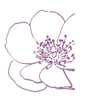 icon 1 flowers