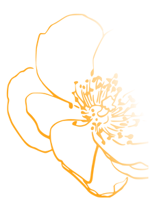 flor rhaiza 2.png