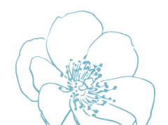icon 1 flowers voces