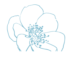 icon 1 flowers copy