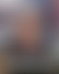 Politicamente corretto = Falso