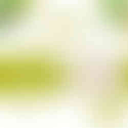 Holiday-Giveaway-week-1.2