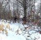 IMG_4915.JPEG