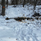 IMG_4831.JPEG