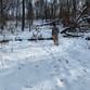 IMG_4830.JPEG