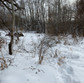 IMG_4913.JPEG