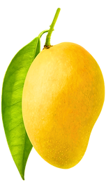 Untitled design (11).png