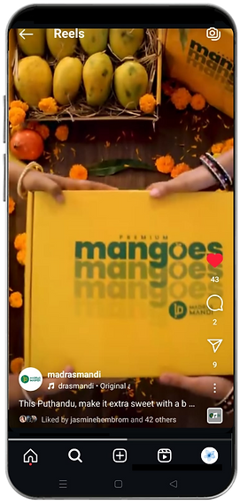 Mango Mandi (3)_edited.png