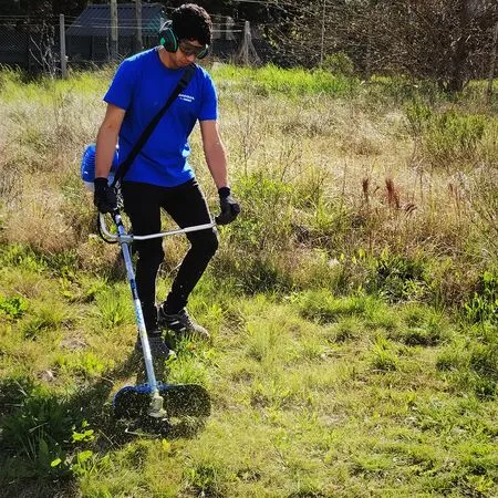 Service de desmalezadoras en Bahía Blanca: cuándo hacer mantenimiento