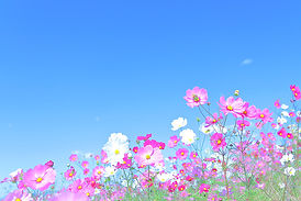 医療機関、介護関係機関等との連携